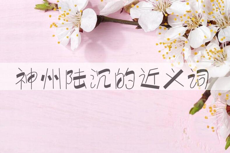 用神州陆沉造句