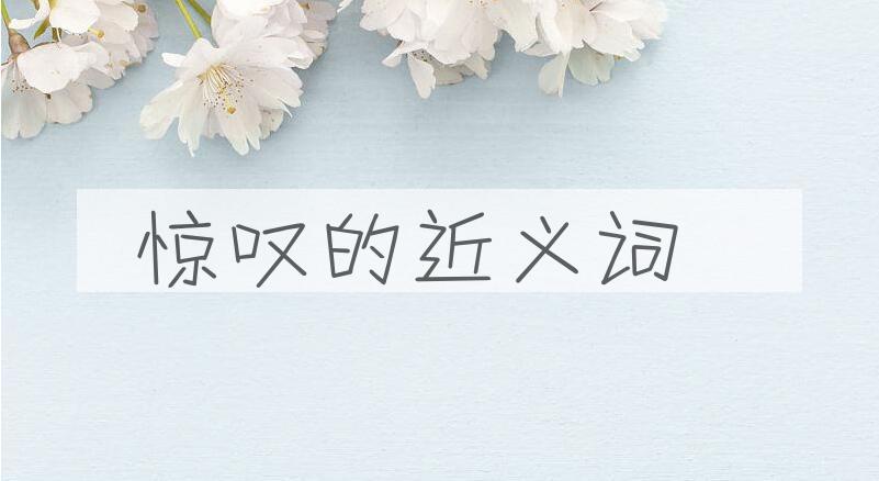 用惊叹造句