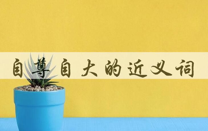 用自尊自大造句