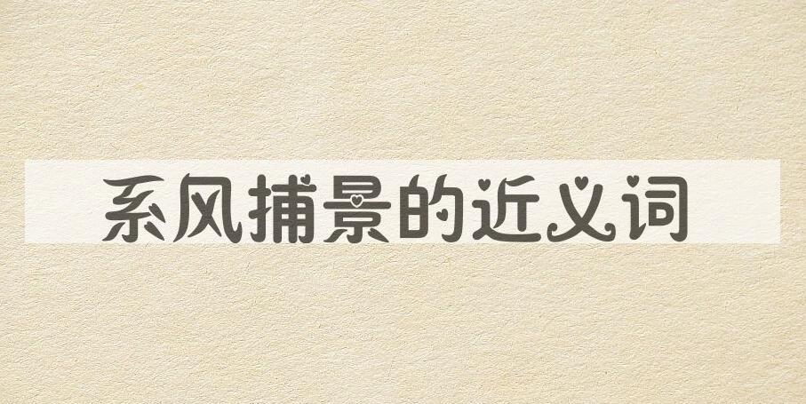 用系风捕景造句
