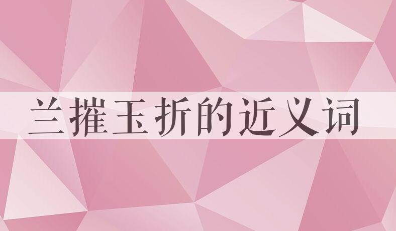 用兰摧玉折造句