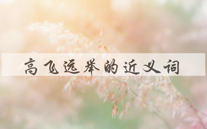 用高飞远举造句