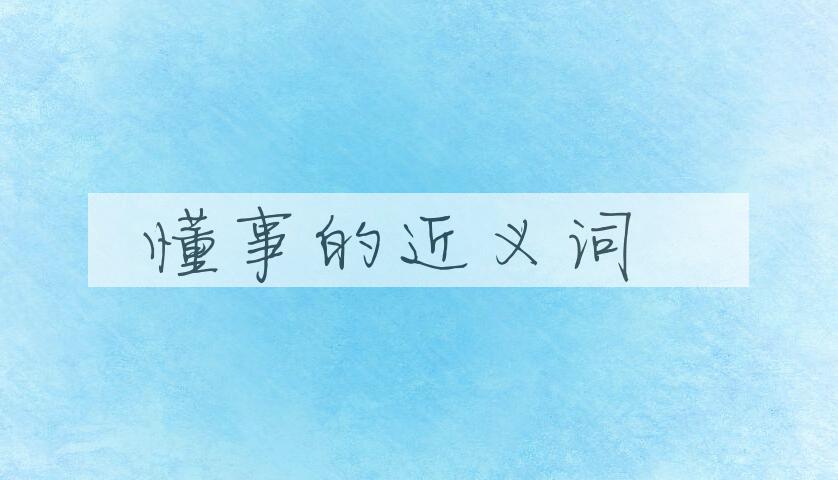 用懂事造句