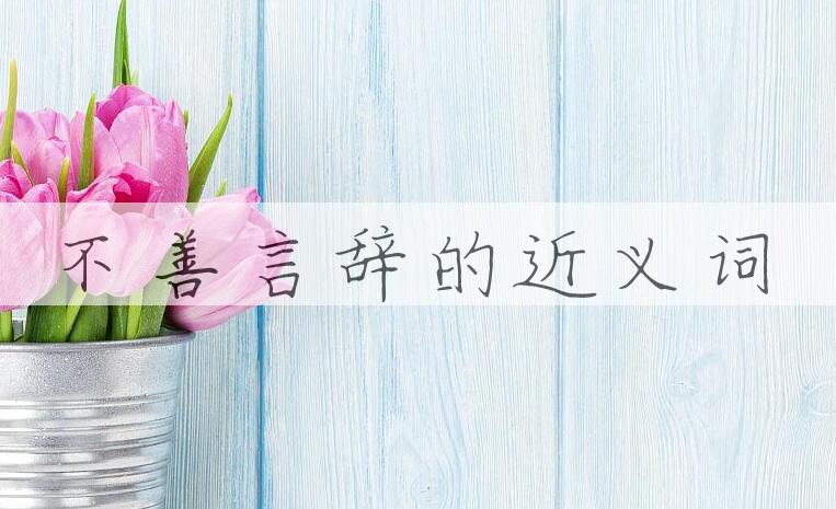用不善言辞造句