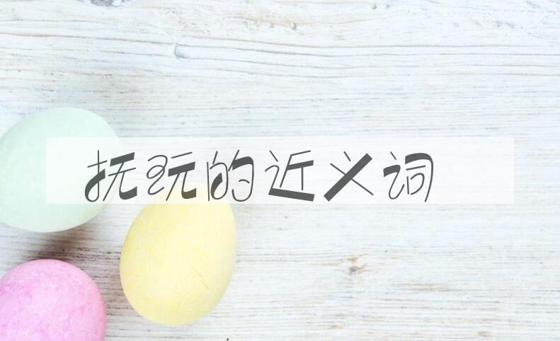 用抚玩造句