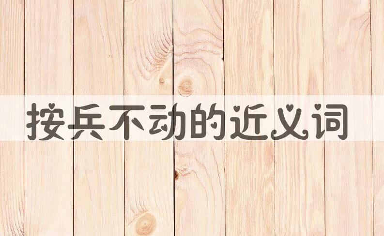 用按兵不动造句