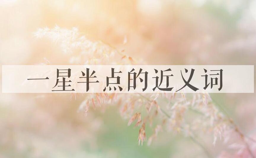 用一星半点造句
