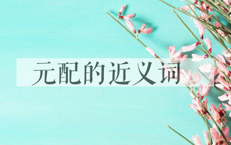 用元配造句