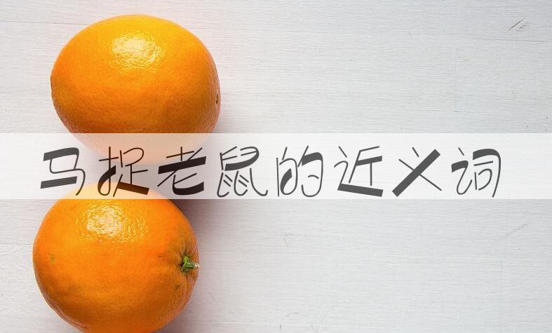 用马捉老鼠造句