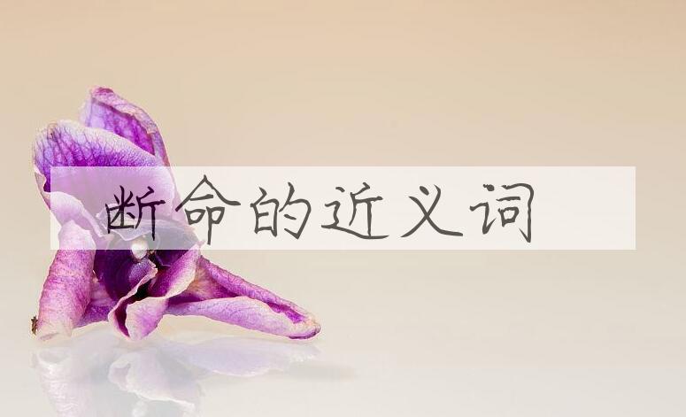 用断命造句