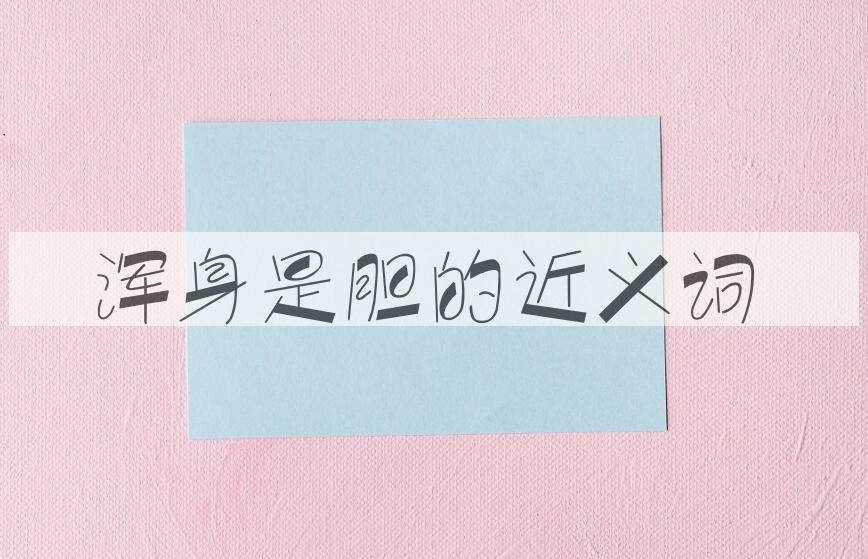 用浑身是胆造句
