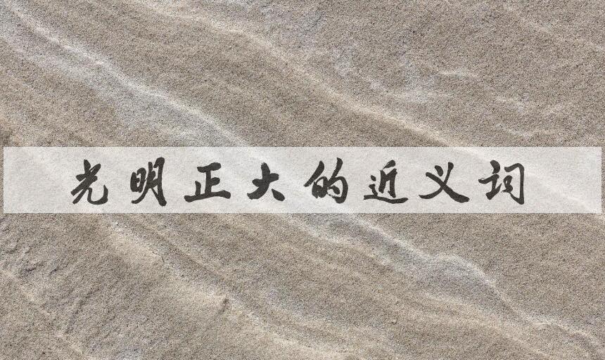 用光明正大造句