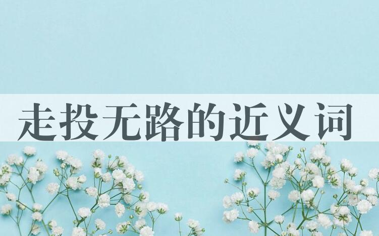 用走投无路造句