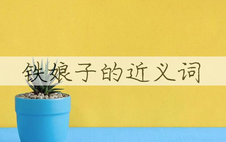 用铁娘子造句