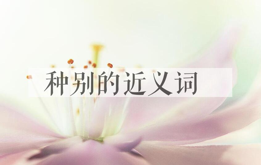 用种别造句