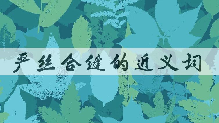 用严丝合缝造句