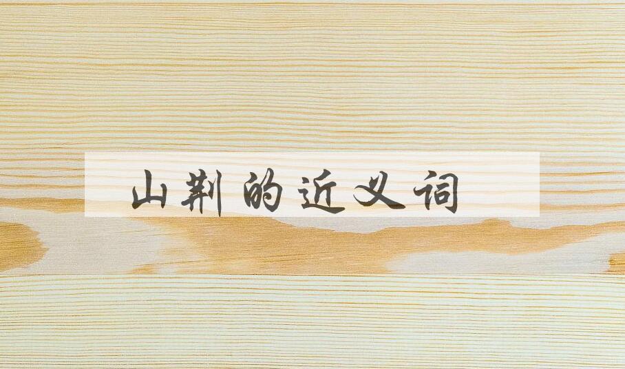 用山荆造句