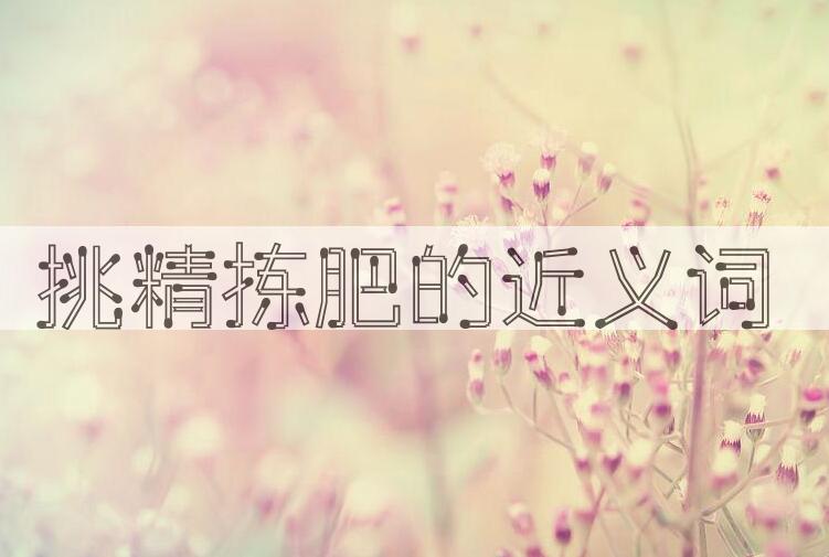 用挑精拣肥造句