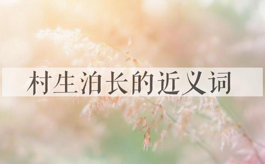 用村生泊长造句