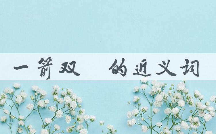 用一箭双鵰造句