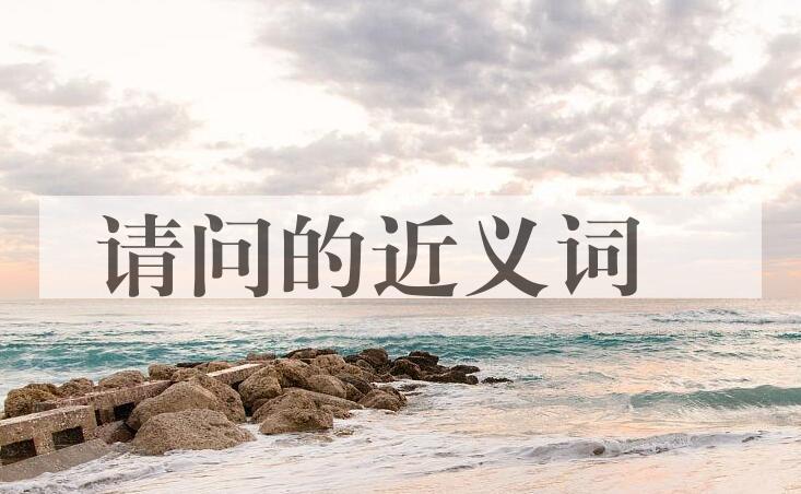 用请问造句