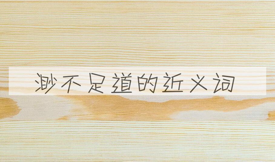 用渺不足道造句