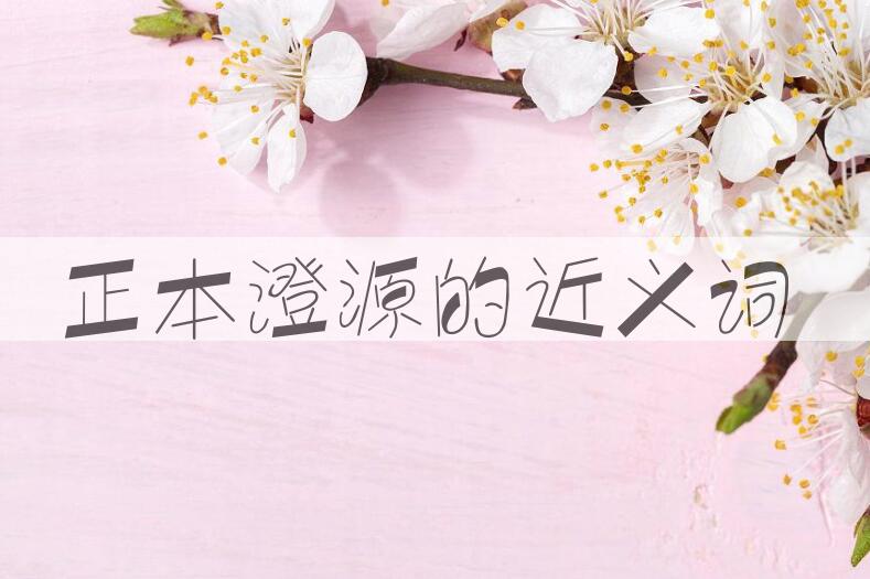 用正本澄源造句