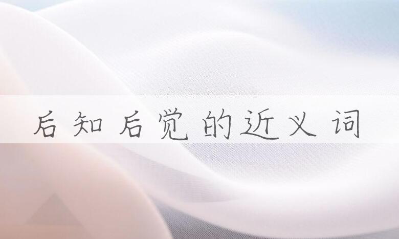 用后知后觉造句