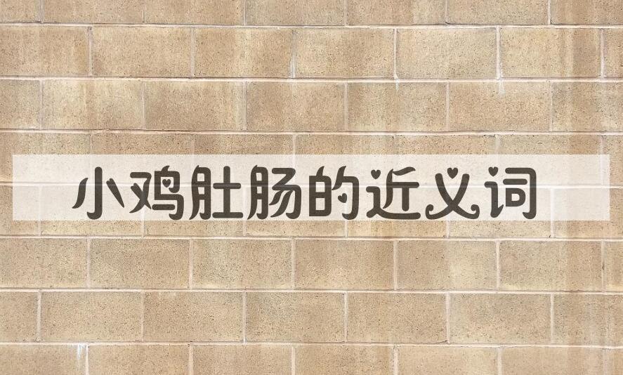用小鸡肚肠造句