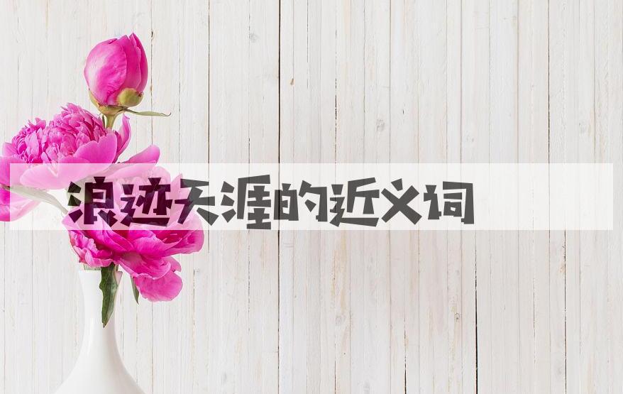 用浪迹天涯造句
