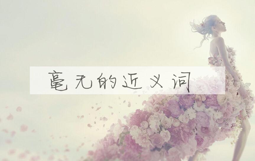 用毫无造句