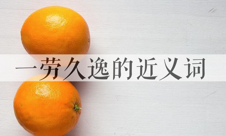 用一劳久逸造句