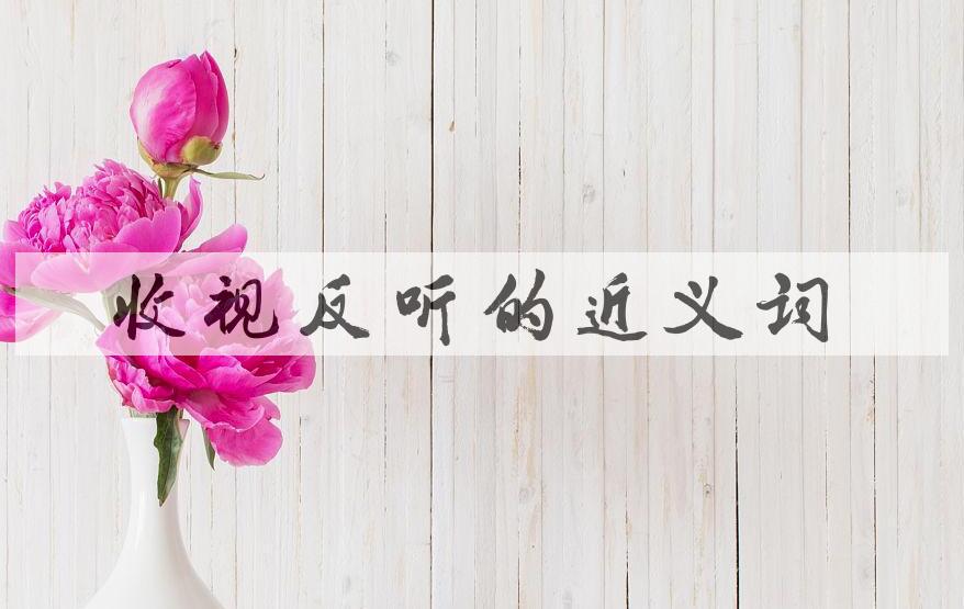用收视反听造句