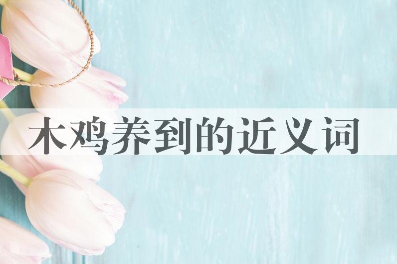 用木鸡养到造句