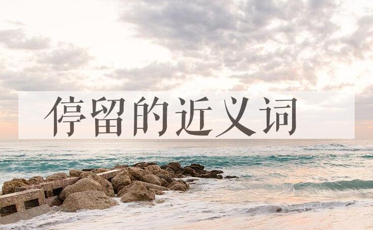 用停留造句