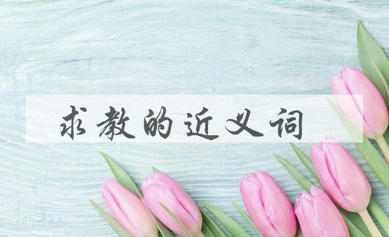 用求教造句