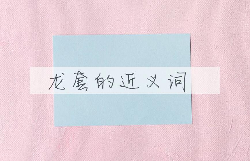 用龙套造句