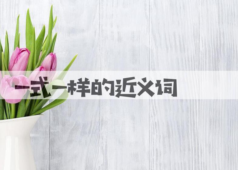 用一式一样造句