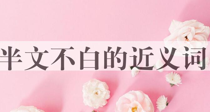 用半文不白造句