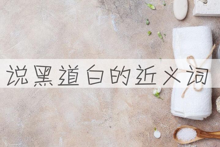 用说黑道白造句