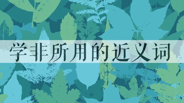 用学非所用造句