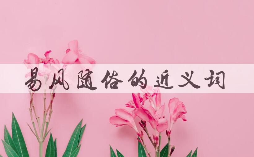 用易风随俗造句
