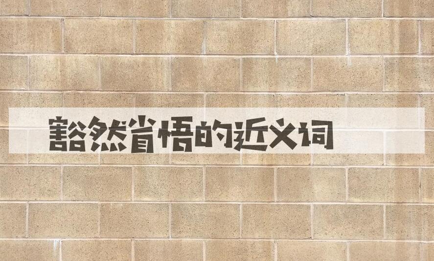 用豁然省悟造句