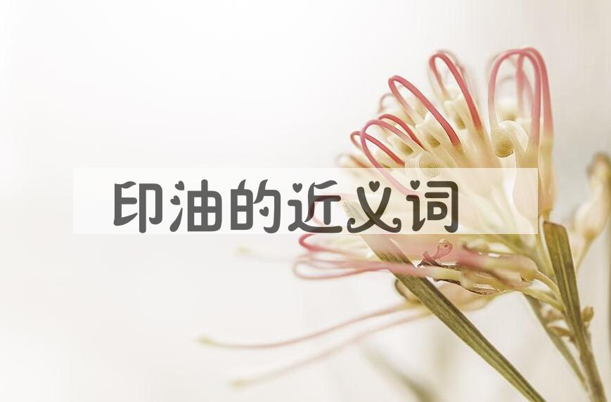 用印油造句