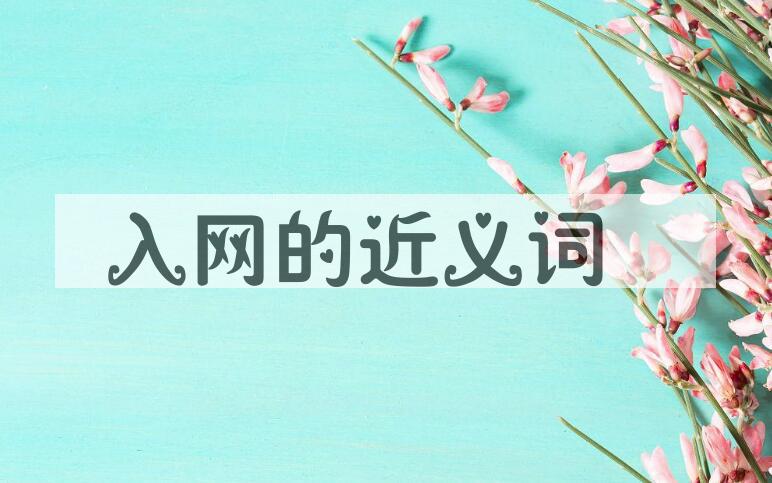 用入网造句