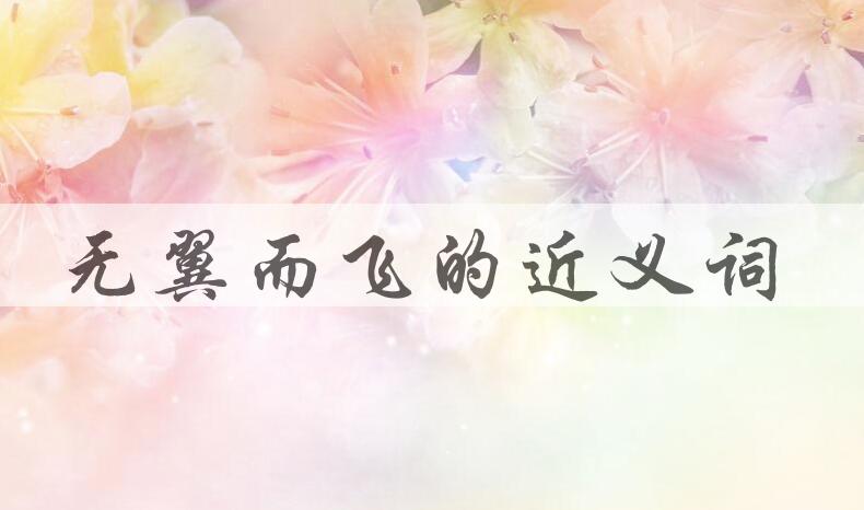 用无翼而飞造句
