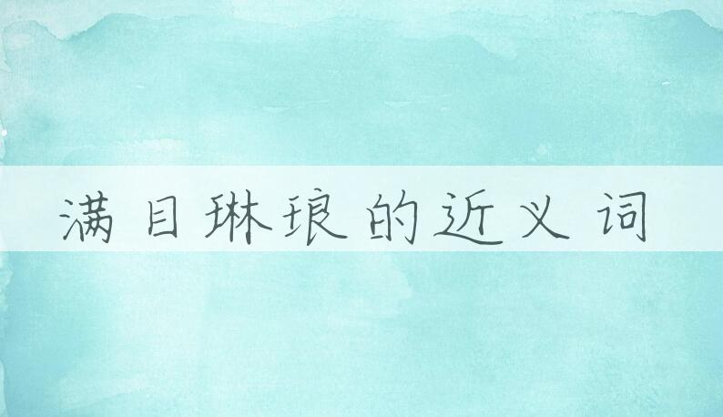 用满目琳琅造句