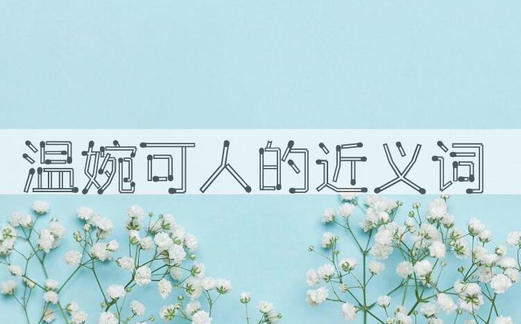 用温婉可人造句