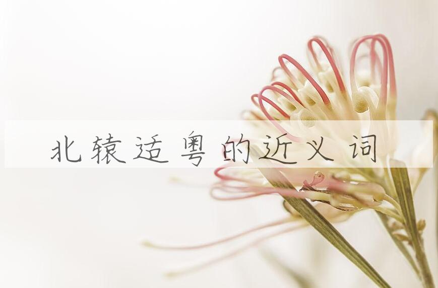 用北辕适粤造句