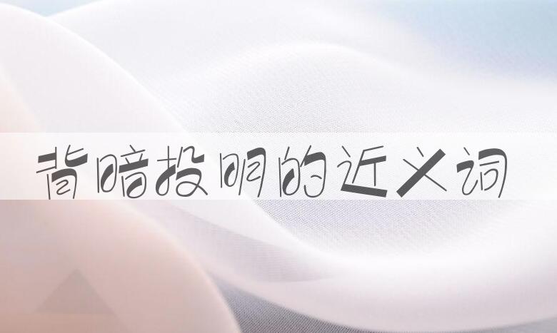 用背暗投明造句